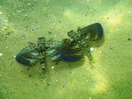 buzios_abr09 (28).JPG