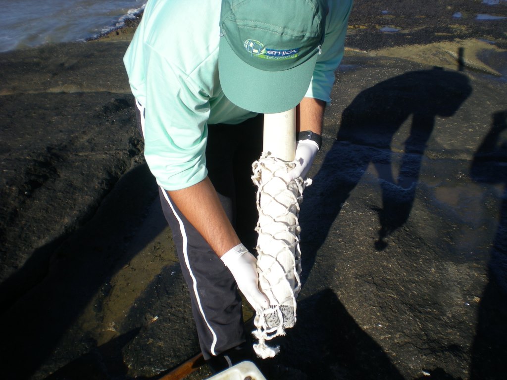 Preparando corda 3.JPG