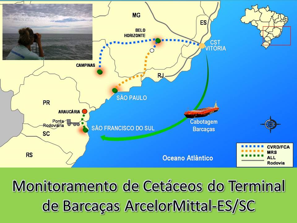 barcaças baleias.jpg