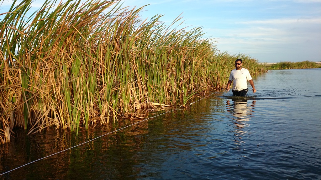 MONITORAMENTO AMBIENTAL (10).JPG