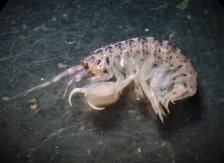 P_20190705_110839 (2).jpg