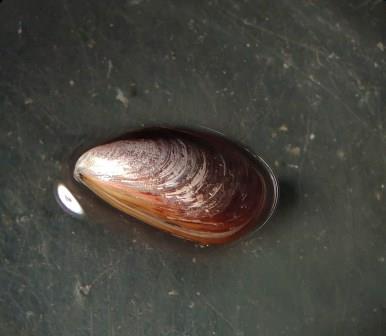 P_20190705_172702 (2).jpg